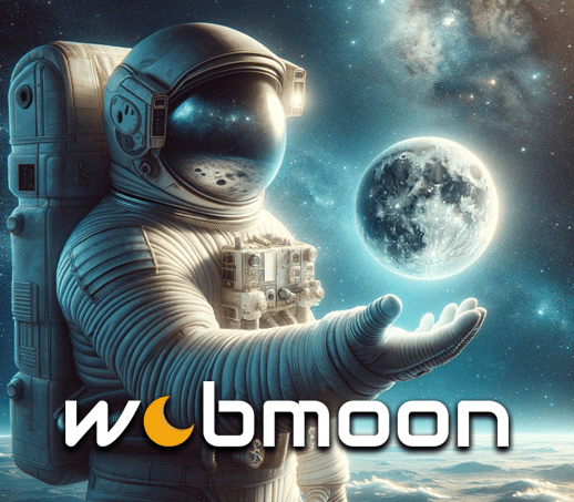 webmoon.hu - Services